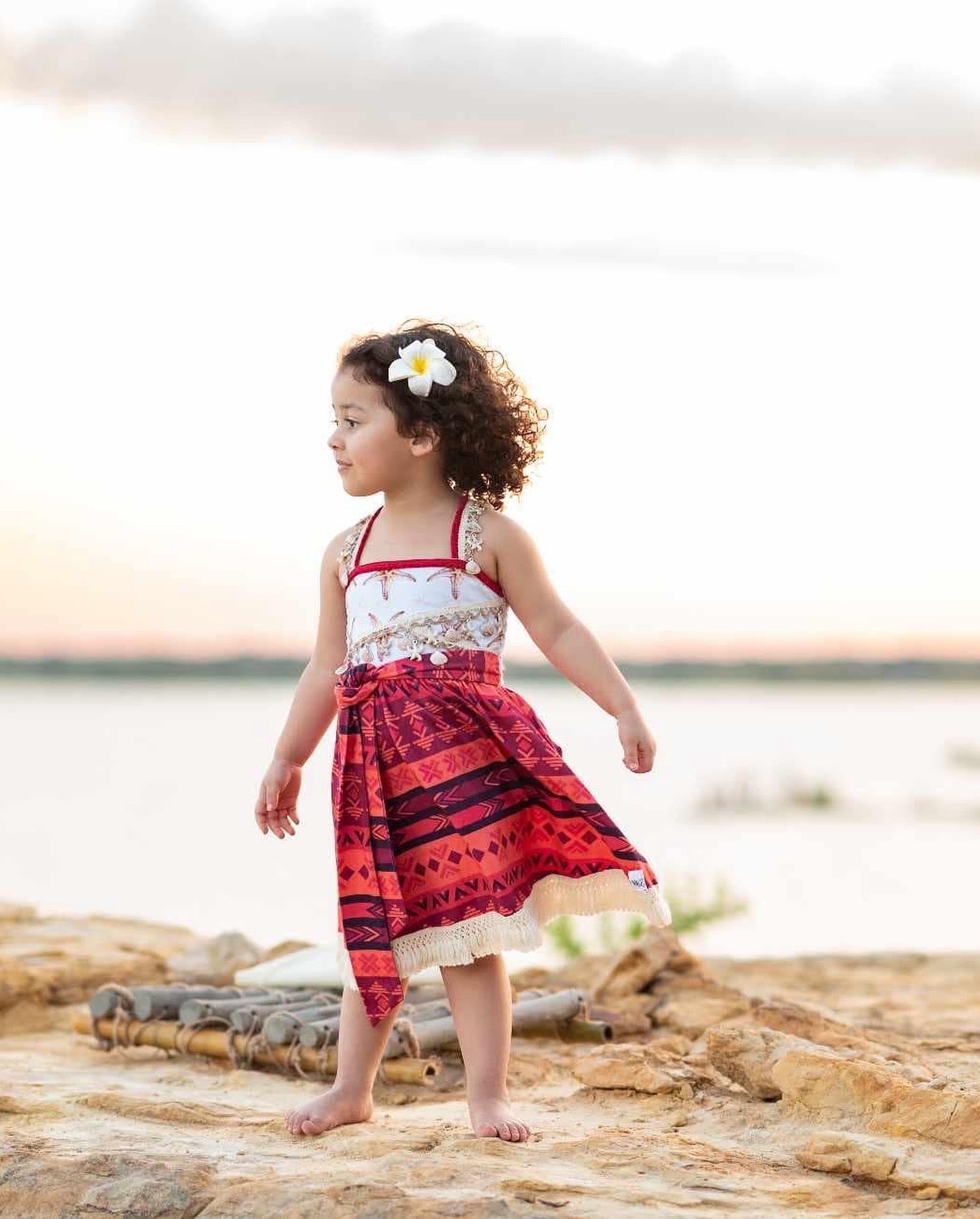 Chief Princess Dress