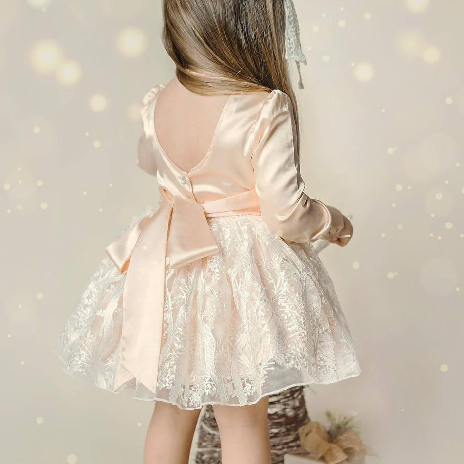 Winter Dreams Dress (4 color options in drop down)