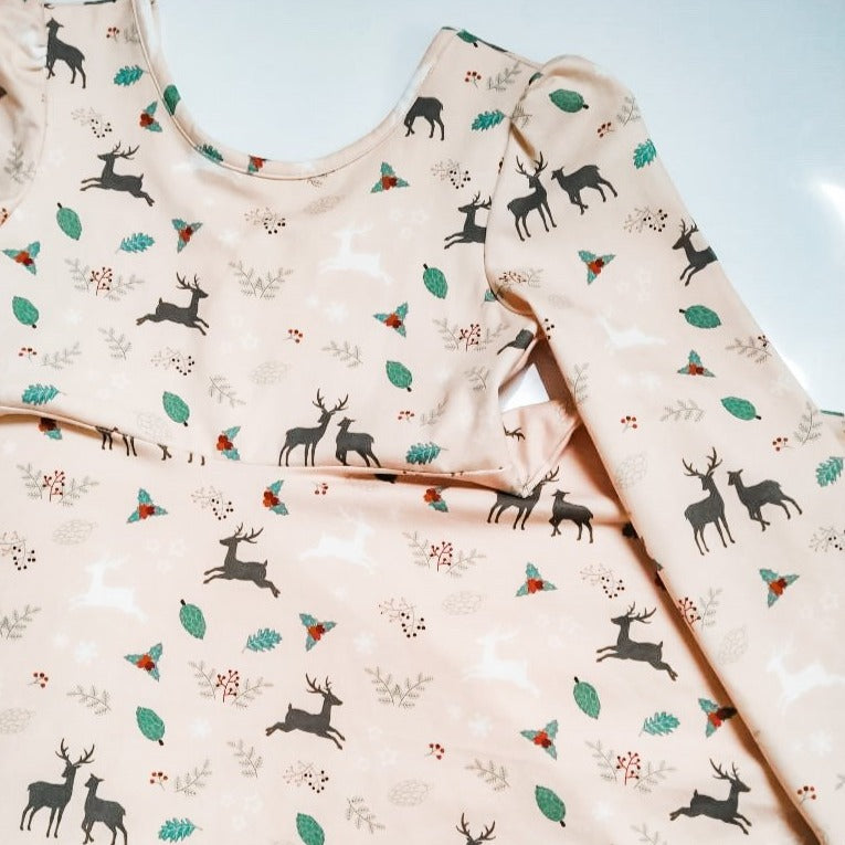 Winter Deer Dress set size 5