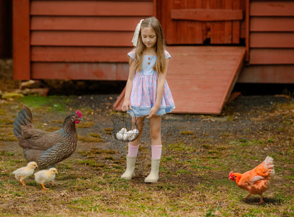 Chickens & Bows Sawyer Set Preorder