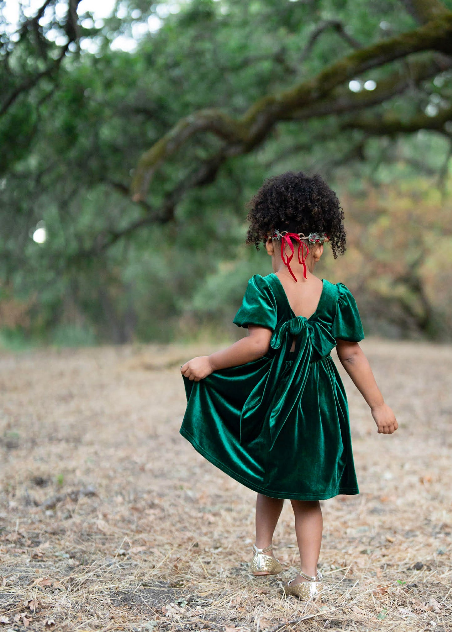 Girls Red or Green Annie Velvet Twirl Dress Preorder CDU26