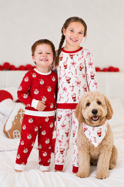 Pet Bandanas Preorder (pick print) (FH26)