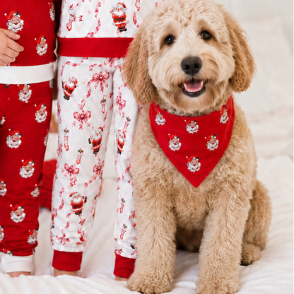 Pet Bandanas Preorder (pick print) (FH26)