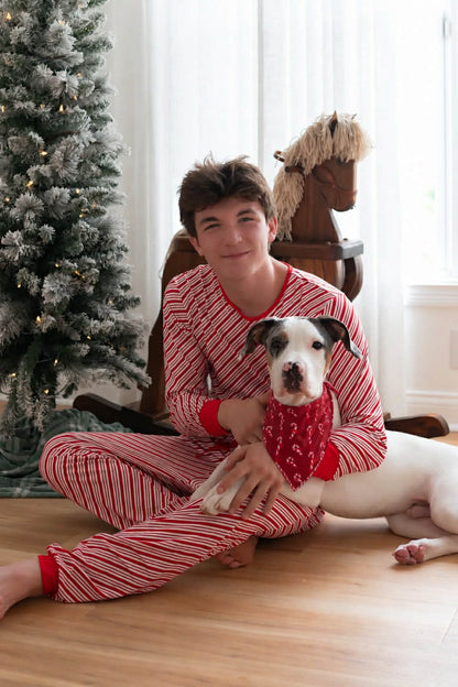 Pet Bandanas Preorder (pick print) (FH26)