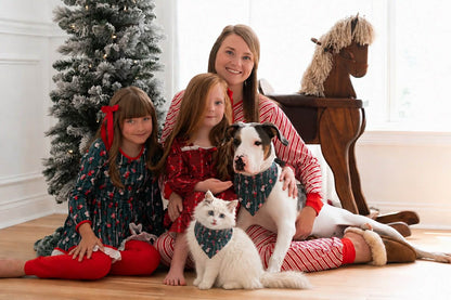 Pet Bandanas Preorder (pick print) (FH26)