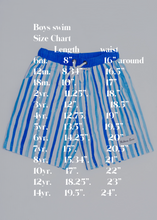 Load image into Gallery viewer, Striped Boys Swim Trunks ~Size 12 month ONLY~